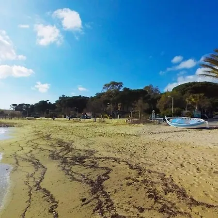 Lejlighed T2 Avec Terrasse Sud, Climatise, A Proximite - - Fr-1-251-295 *