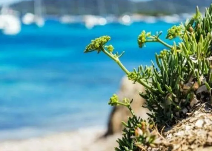 Lejlighed T2 Avec Terrasse Sud, Climatise, A Proximite - - Fr-1-251-295 *